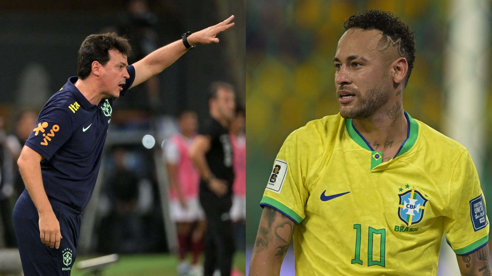 Fernando Diniz‏ - neymar