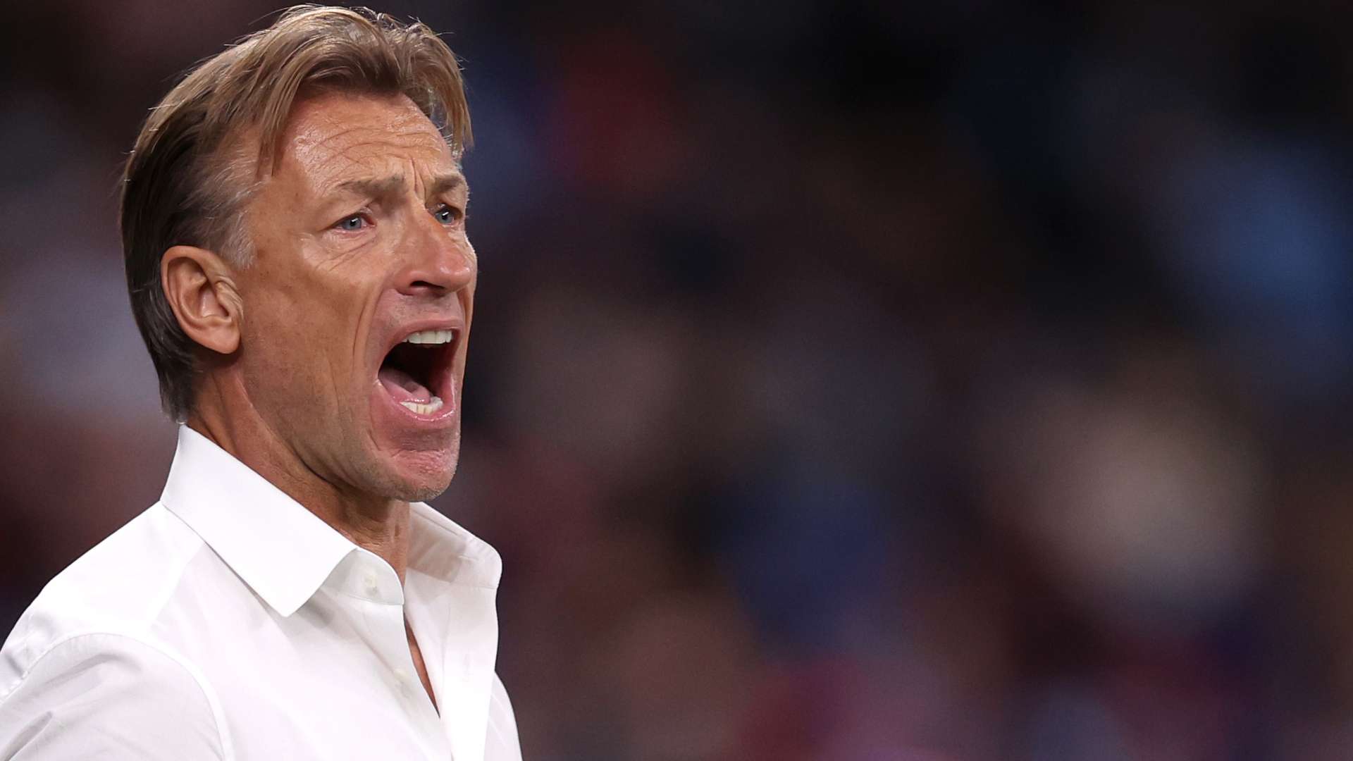 Herve Renard France