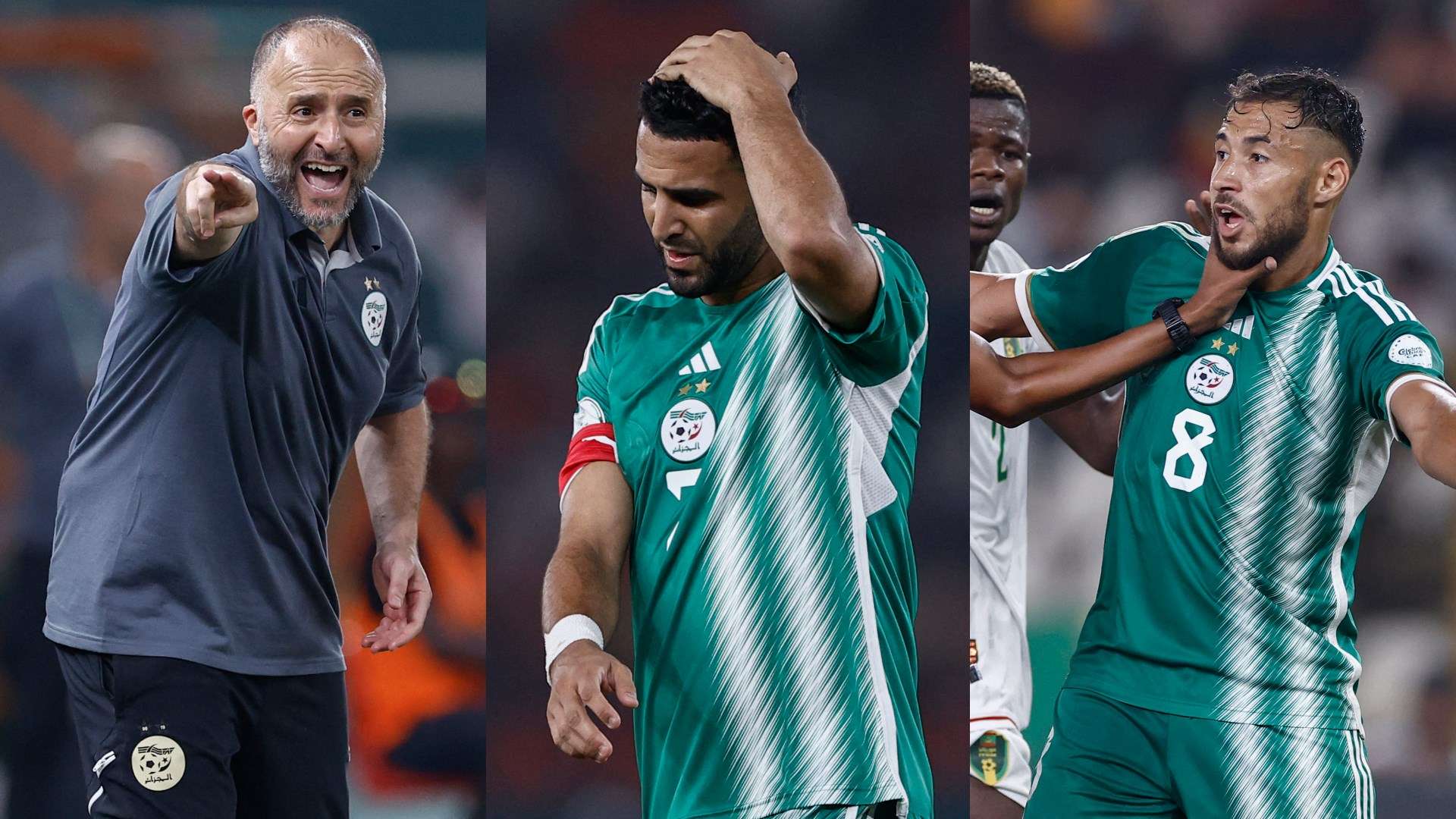 Algeria AFCON 2023 Riyad Mahrez Djamel Belmadi Youcef Belaili