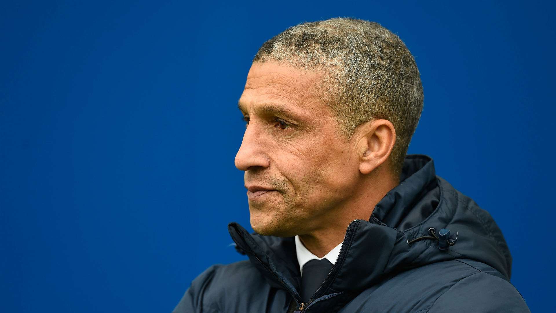 Chris Hughton Brighton 02052016