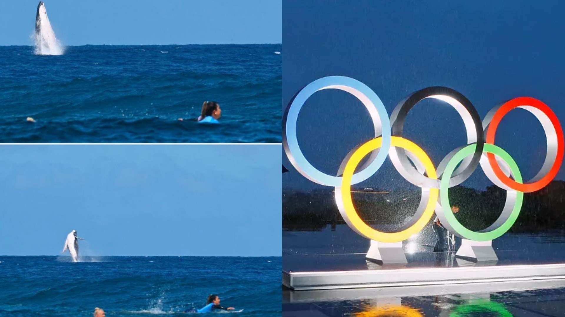 whale Olympic Games Paris 2024