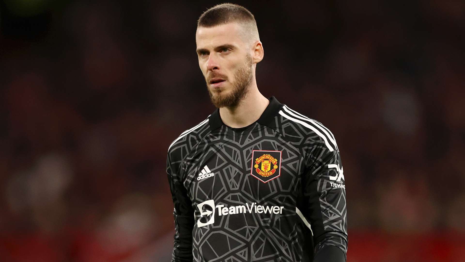 David-De-Gea