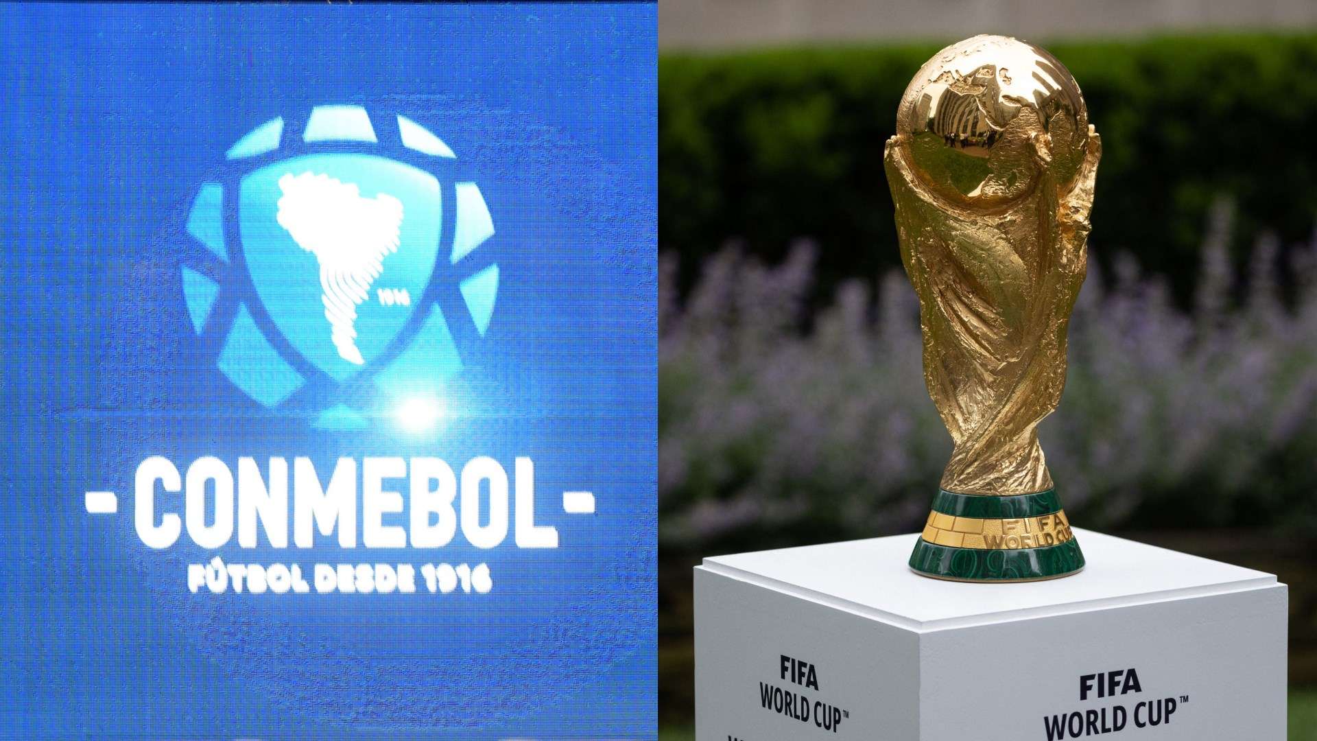 CONMEBOL, World Cup GFX