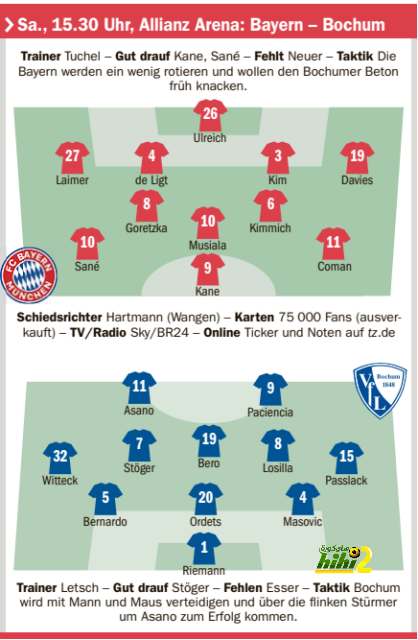 dortmund vs hoffenheim