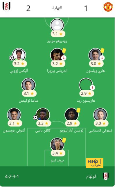 dortmund vs hoffenheim