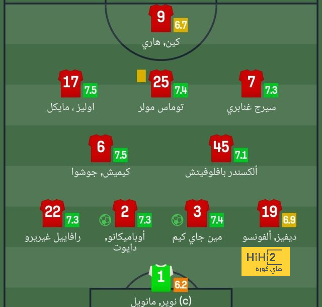 dortmund vs hoffenheim