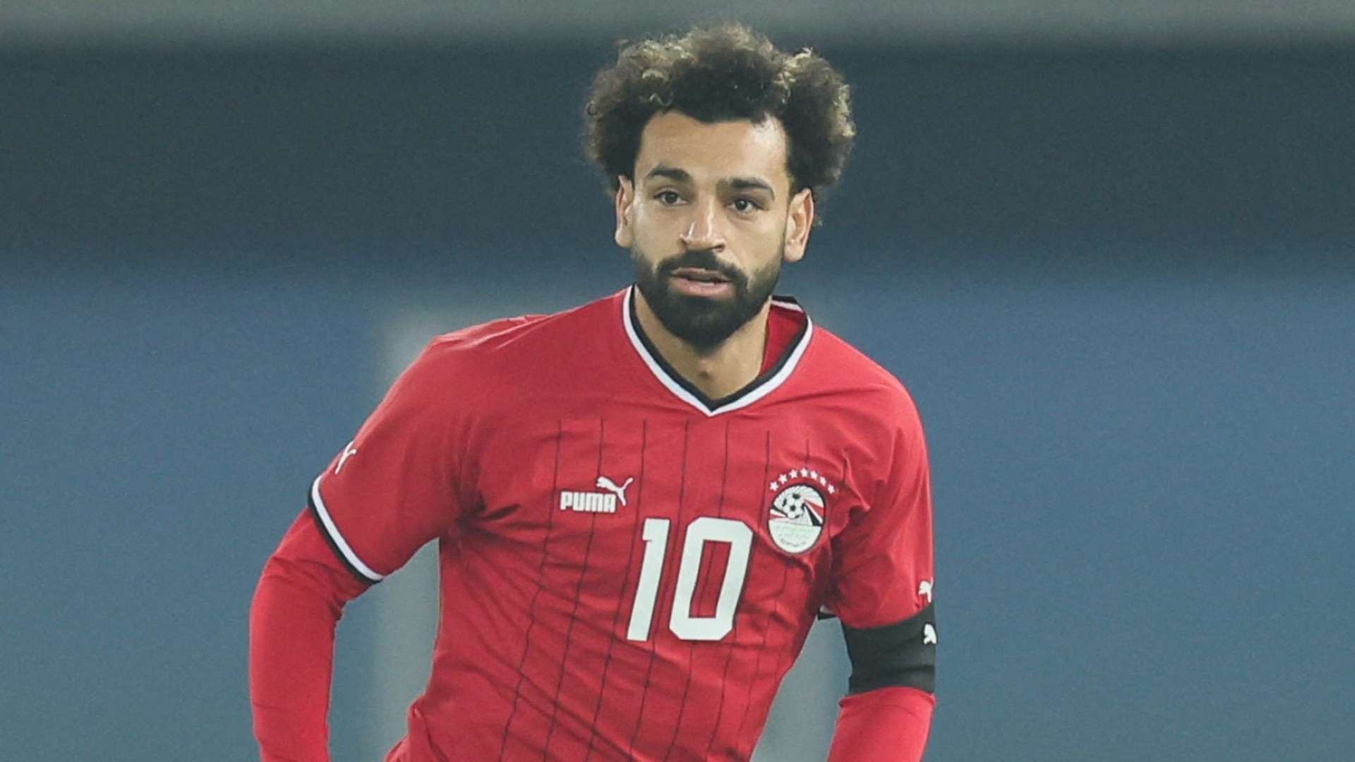 رسمياً: دومينيكو تيديسكو مدرباً للمنتخب البلجيكي 