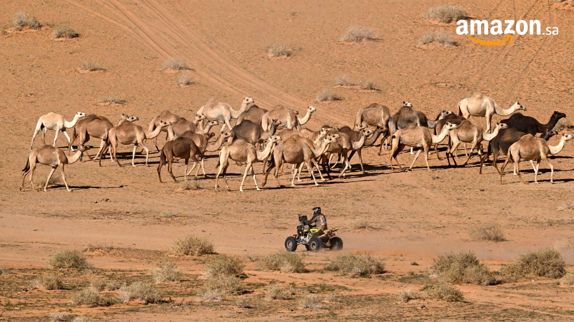 تشافي يعلق على انتقال كاسميرو إلى مانشستر يونايتد 