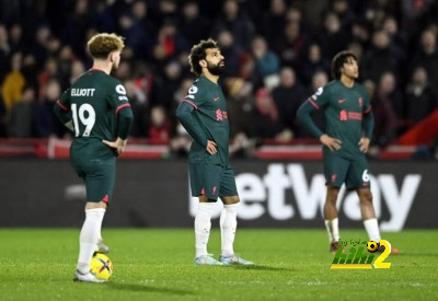 فيديو: العمل في النصر لا يتوقف 