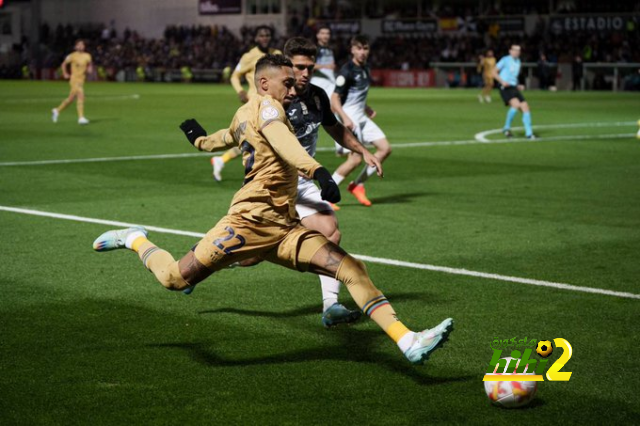 صورة.. مشجع يقفز من المدرجات لالتقاط سيلفي مع رونالدو بعد مباراة جورجيا 